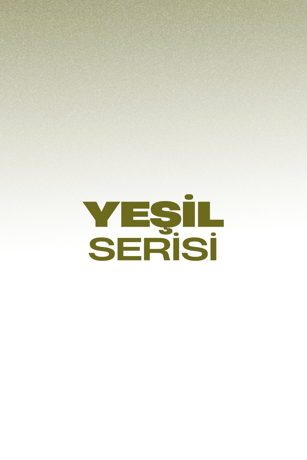 Professional 2'li Yeşil Saç Fırçası