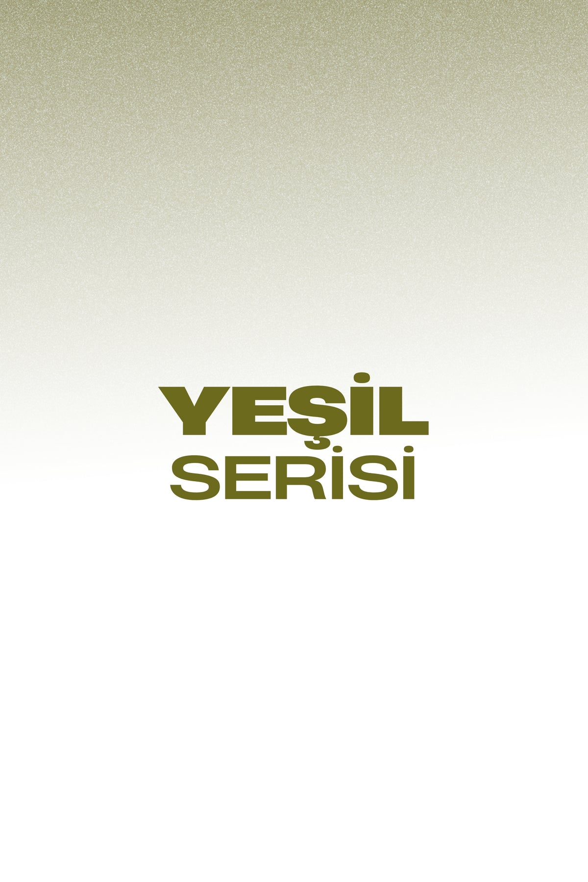 Professional 2'li Yeşil Saç Fırçası
